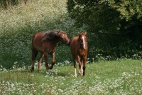 /album/kontakty/snimek-088-jpg1/